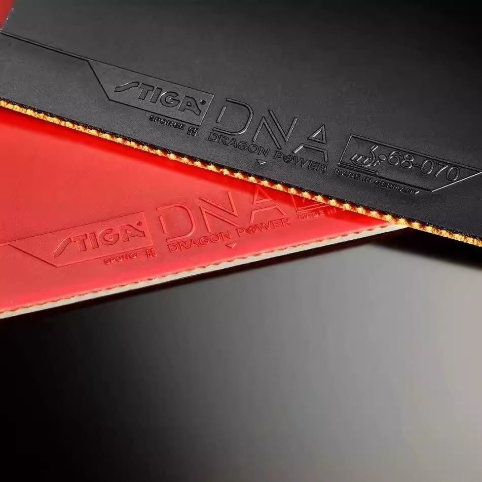STIGA DNA DRAGON POWER Table T - Table Tennis Zhang Jike 评论和价格